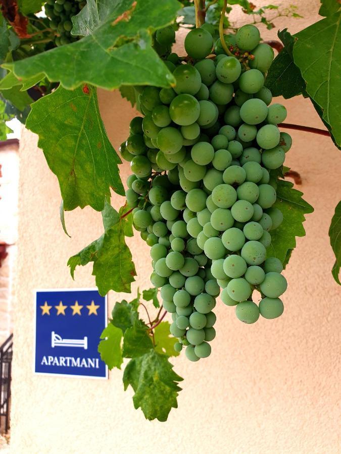 Apartments Lucky Lozovac Εξωτερικό φωτογραφία
