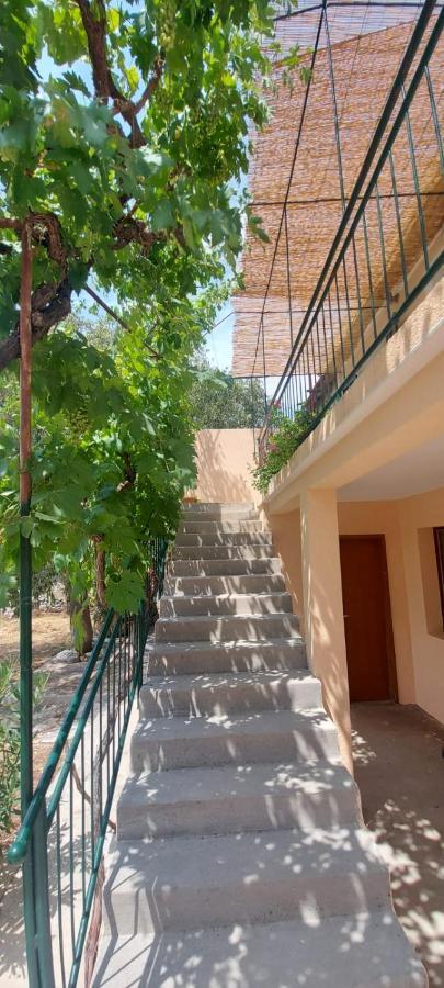 Apartments Lucky Lozovac Εξωτερικό φωτογραφία